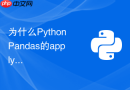 为什么Python Pandas的apply函数执行很慢及如何优化？