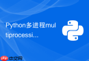 Python多进程multiprocessing如何共享大型数组？