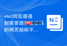 vivo浏览器遇到需要图形验证码的网页却刷不出来图片该怎么办？
