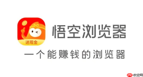为什么悟空浏览器无法打开某些特定的局域网网址？