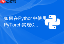 如何在Python中使用PyTorch实现Contrastive Loss对比学习？