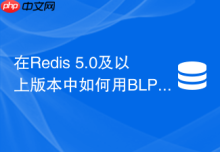在Redis 5.0及以上版本中如何用BLPOP防止List轮询空转