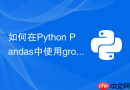 如何在python pandas中使用groupby进行多列分组聚合?