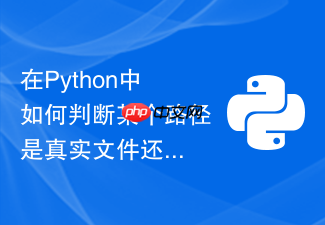 在python中如何判断某个路径是真实文件还是软链接?
