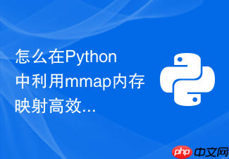 怎么在python中利用mmap内存映射高效读取gb级大文件结构