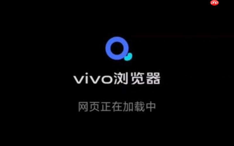 如何在vivo浏览器中管理已保存的各类收货地址信息?