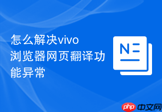 怎么解决vivo浏览器网页翻译功能异常