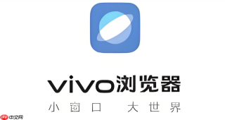 怎么清理vivo浏览器中网页视频缓存占用的庞大存储?
