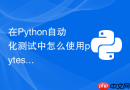 在Python自动化测试中怎么使用pytest标记慢速用例
