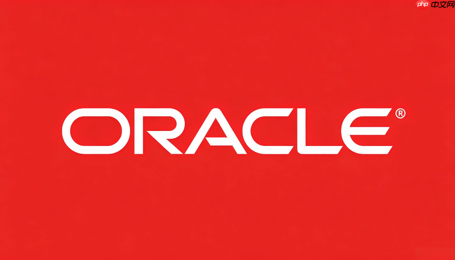 怎样在spring boot中利用oracle的本地化资源锁控制并发?