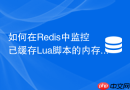 如何在Redis中监控已缓存Lua脚本的内存占用？