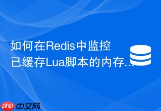 如何在redis中监控已缓存lua脚本的内存占用?