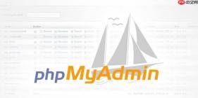 如何优化phpMyAdmin导出配置以提升大表备份速度？