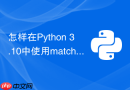 怎样在python 3.10中使用match case进行异常分类处理