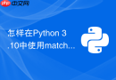 怎样在Python 3.10中使用match case进行异常分类处理