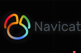 怎样在Navicat 16中为大表创建按月份范围分区