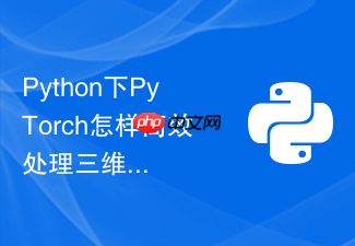 python下pytorch怎样高效处理三维医学图像分割数据流？
