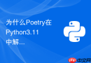 为什么Poetry在Python3.11中解析依赖速度非常慢