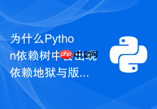 为什么python依赖树中会出现依赖地狱与版本冲突