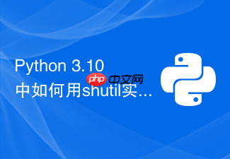 python 3.10中如何用shutil实现大文件高效复制?