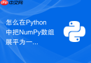 怎么在python中把numpy数组展平为一维视图