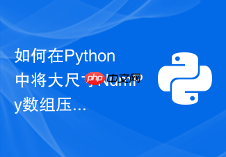 如何在python中将大尺寸numpy数组压缩保存为npz
