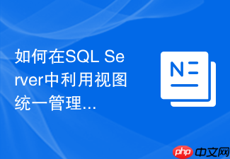 如何在sql server中利用视图统一管理多语言字典映射