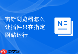 宙斯浏览器怎么让插件只在指定网站运行