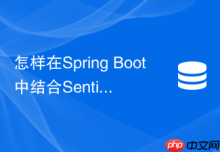 怎样在Spring Boot中结合Sentinel与Redis实现集群流控