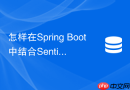 怎样在Spring Boot中结合Sentinel与Redis实现集群流控