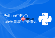 Python中PyTorch张量展平操作view与reshape该如何选择？