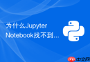 为什么jupyter notebook找不到新建的python 3.11虚拟环境内核？
