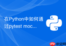在Python中如何通过pytest mock内部依赖函数