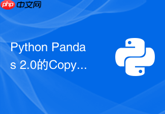 python pandas 2.0的copy-on-write机制如何提升性能?