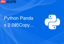Python Pandas 2.0的Copy-on-Write机制如何提升性能？