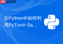 在Python中如何利用PyTorch Safetensors格式高效存储权重？