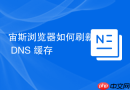 宙斯浏览器如何刷新 DNS 缓存