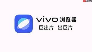 怎么在vivo浏览器中开启网页拼写检查避免输入错误?