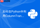 如何在python中利用columntransformer处理混合特征