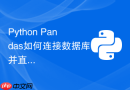 python pandas如何连接数据库并直接执行sql查询?