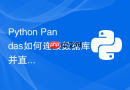 Python Pandas如何连接数据库并直接执行SQL查询？
