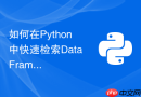 如何在Python中快速检索DataFrame中包含特定子串的所有数据行？