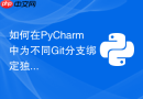 如何在pycharm中为不同git分支绑定独立的python解释器?