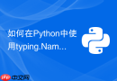 如何在python中使用typing.namedtuple定义不可变数据结构