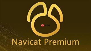 如何解决navicat定时同步任务因字符集不一致导致的乱码中断