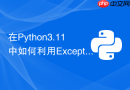 在Python3.11中如何利用ExceptionGroup捕获类中的多个异常