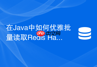 在java中如何优雅批量读取redis hash中的所有字段与值