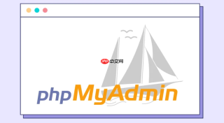 如何在phpMyAdmin 4.9中兼容维护旧版MySQL 5.5与新版实例？