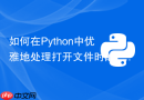 如何在Python中优雅地处理打开文件时的FileNotFoundError？