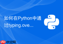 如何在python中通过typing.overload定义函数的重载签名?